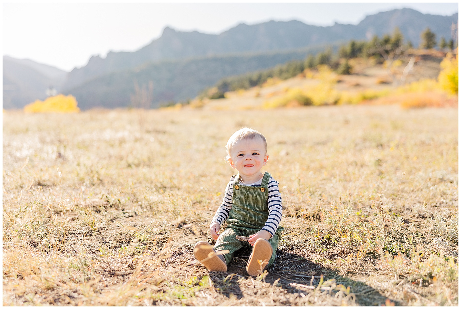 little one sits in a field with a golden background during fall family mini session