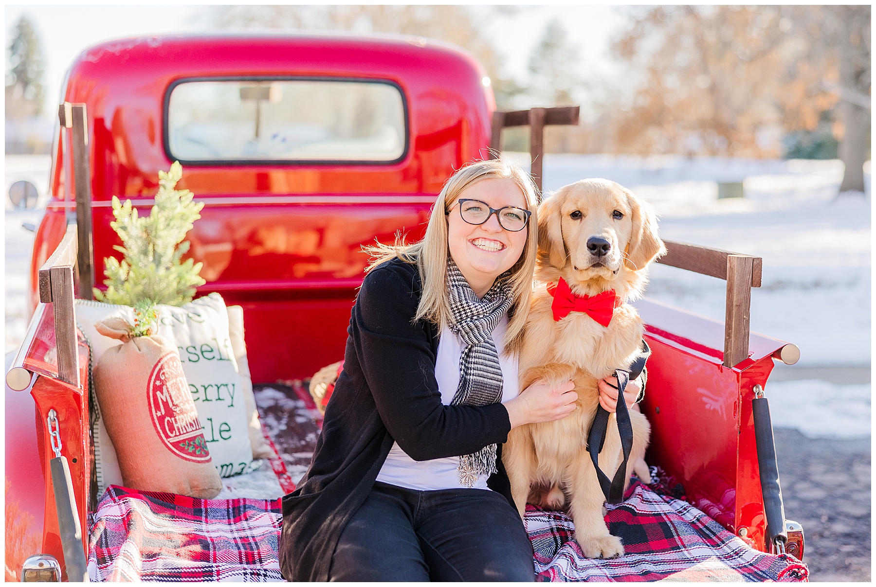 Photographer Catherine Chamberlain captures lady with her dog in a red bowtie during Christmas mini session