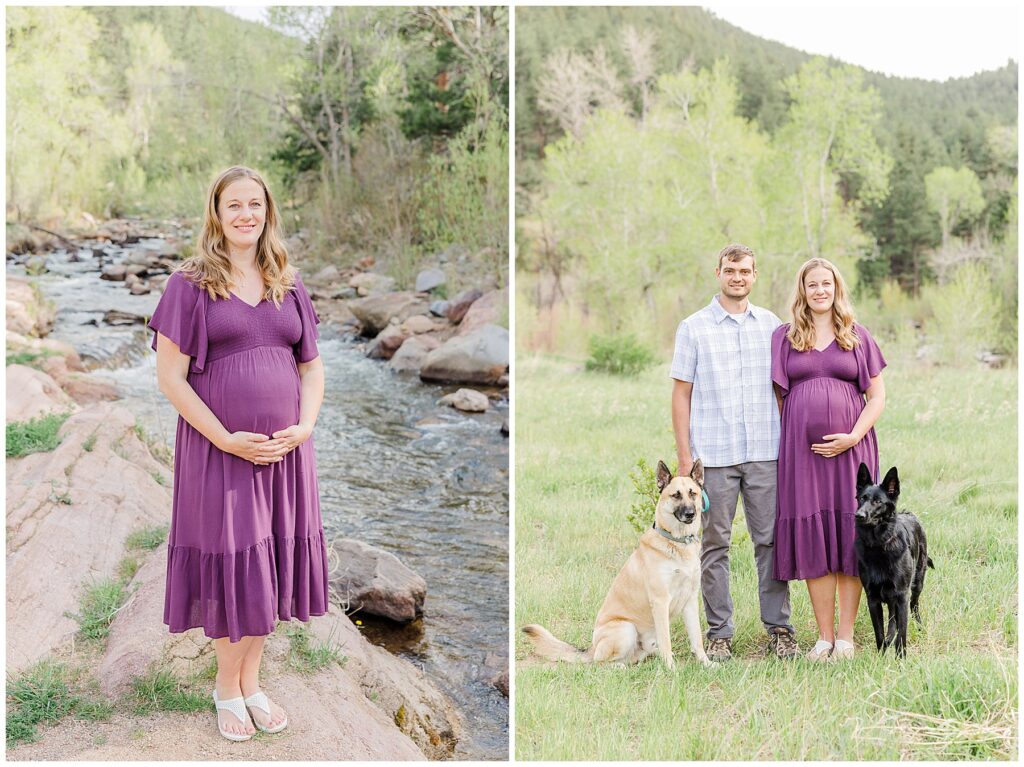 German shepherds pose with their expecting parents for Buckingham Park Maternity Session
