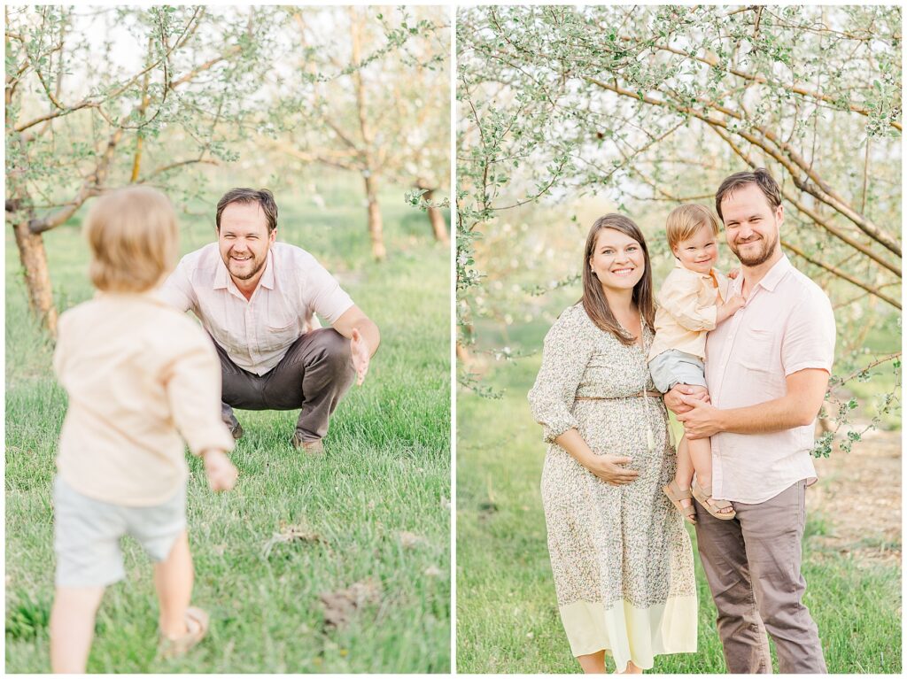 Dad squats down as toddler son runs toward him during Peterson Family Maternity Session 
