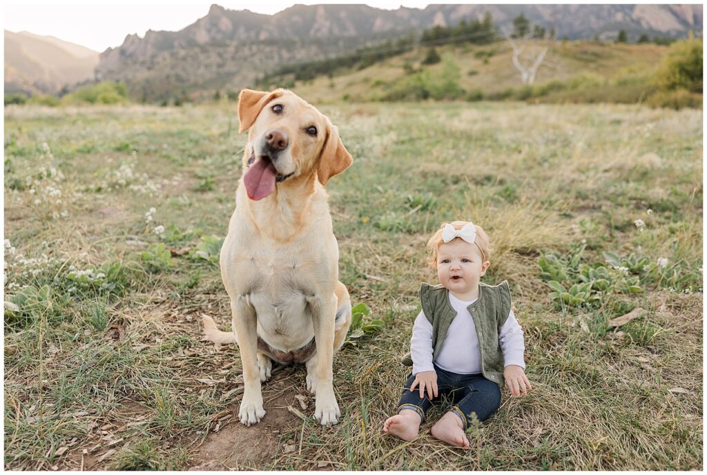 Family dog and baby girl sit on the ground together looking at the camera for Catherine Chamberlain Photography in Boulder, Colorado
