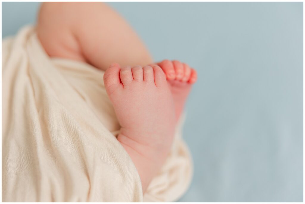 Feet and toes of a newborn by Catherine Chamberlain Photography of Northern Colorado