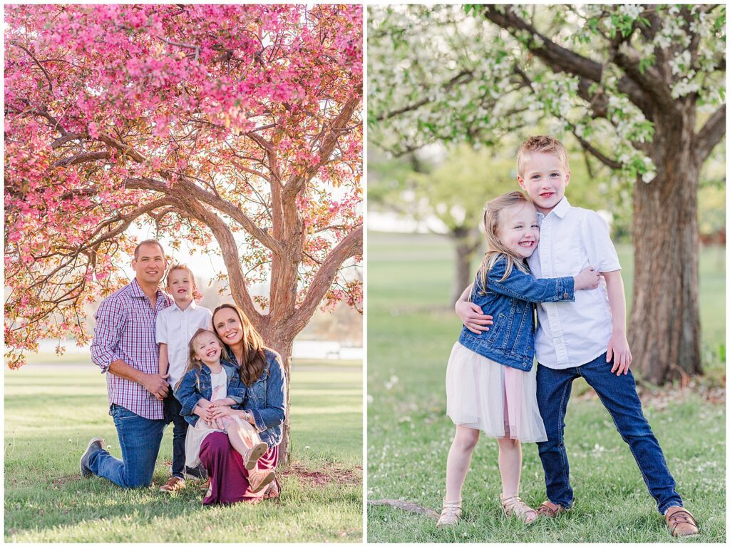 Family of four pose under a pink blossoming tree for spring minis with Catherine Chamberlain in Colorado