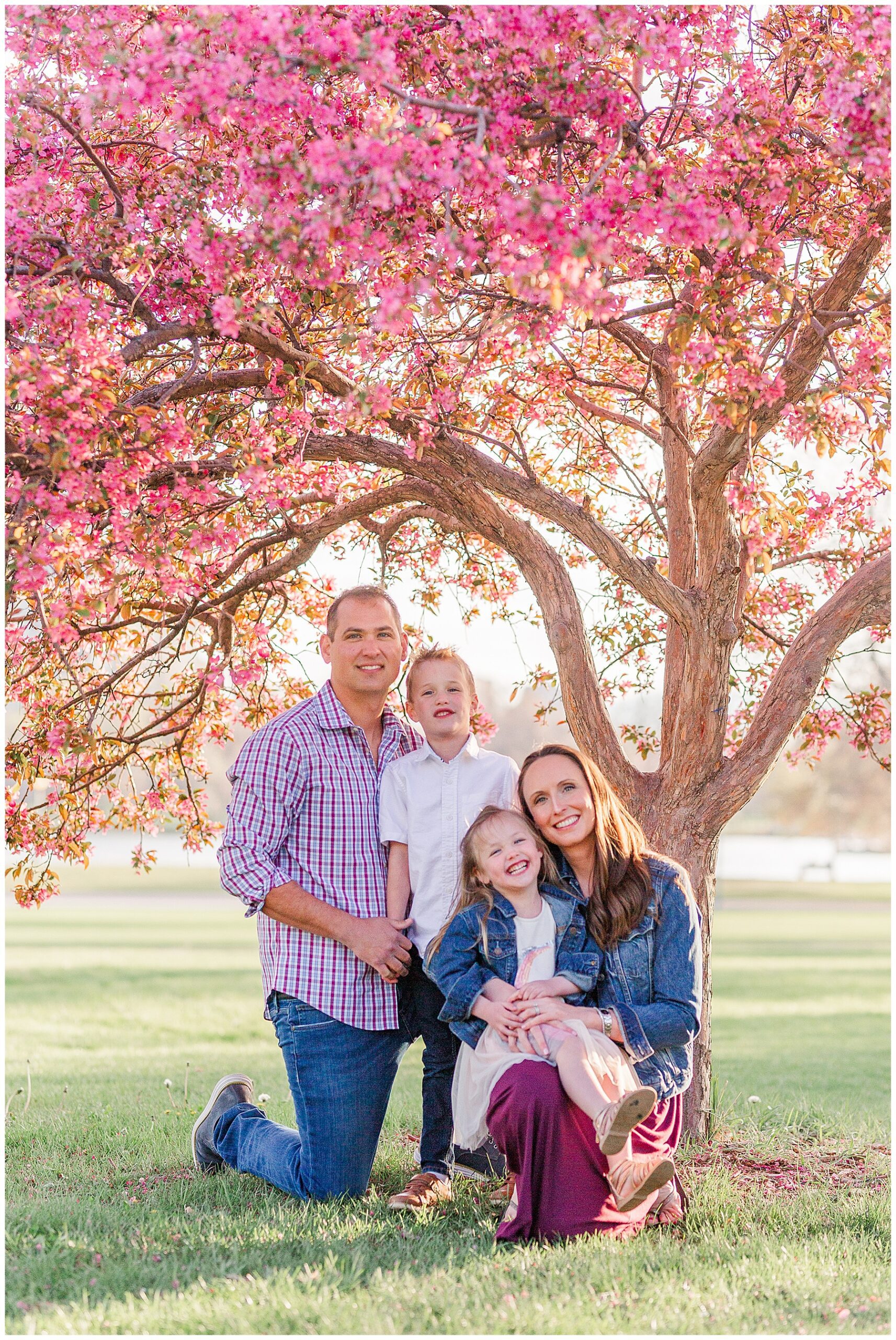 Family of four pose under a huge, bright pink blossoming tree during and Outdoor Spring Family Session with Catherine Chamberlain Photography