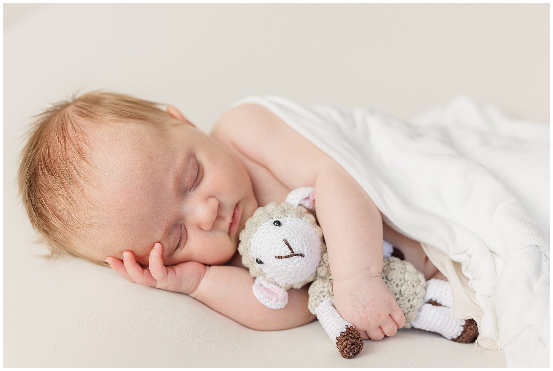 Baby poses for a stuffed lamb newborn session in Broomfield, CO