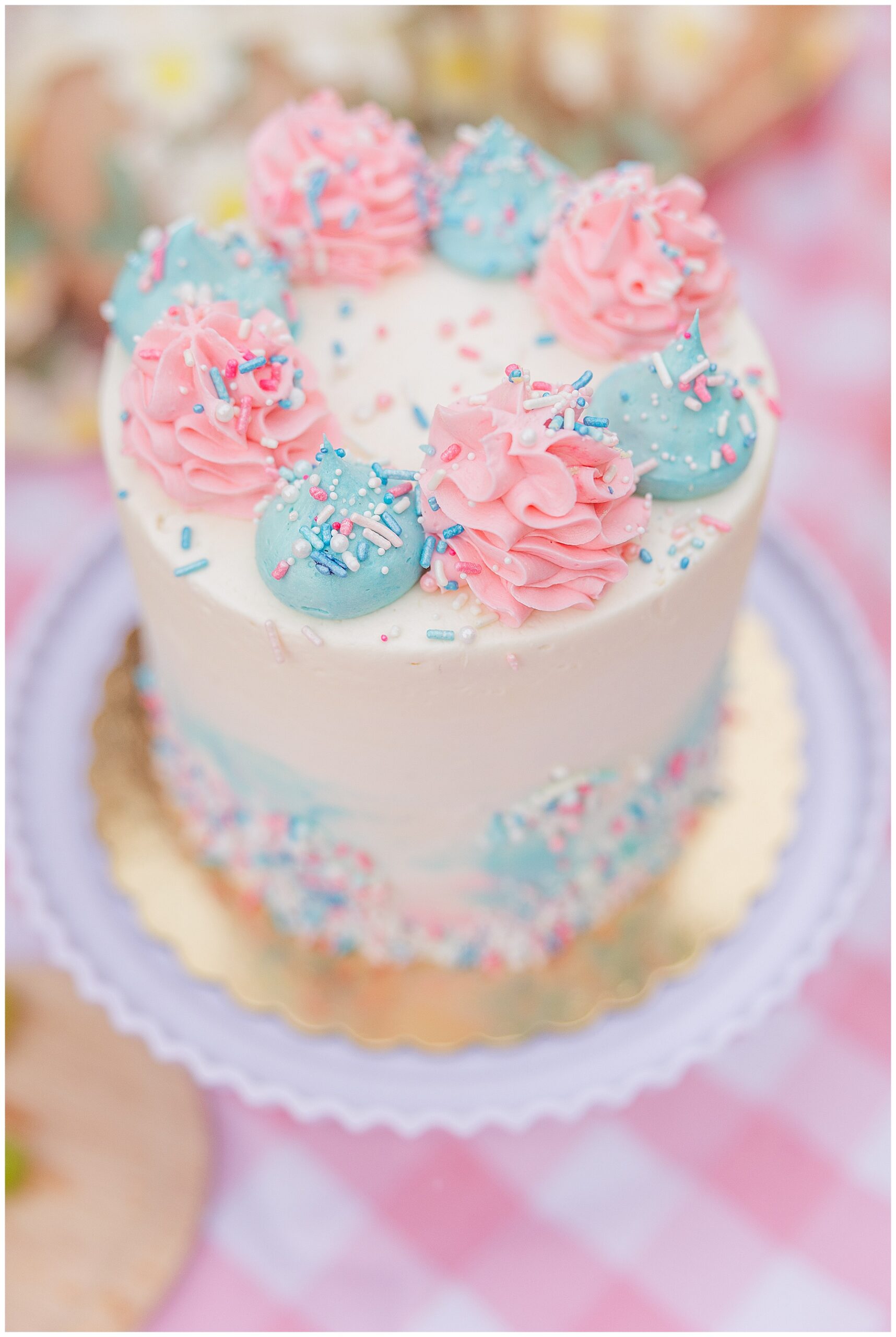 Cake for Highland Ranch gender reveal with Catherine Chamberlain Photography