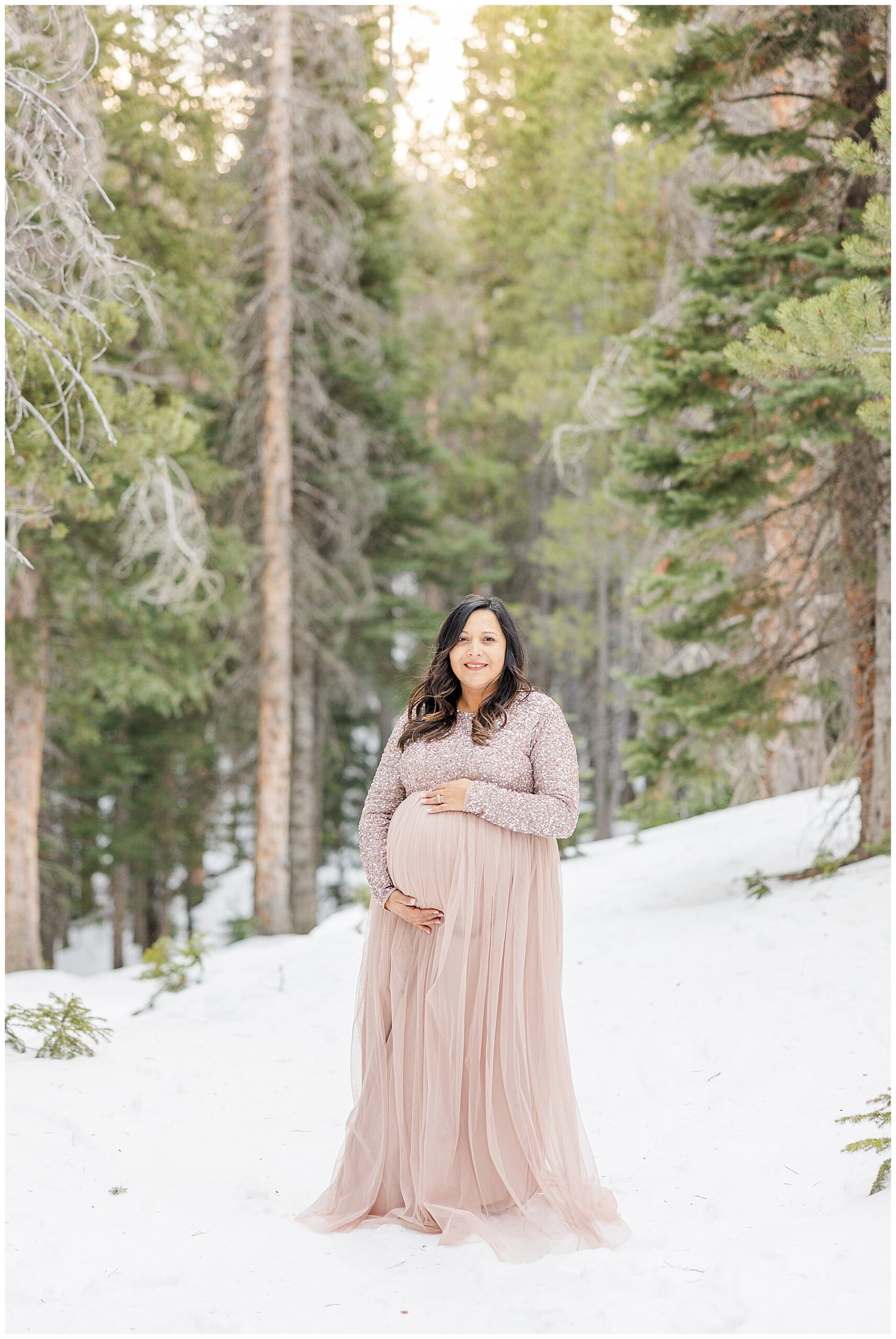 Snowy Sessions and Stunning Dresses: Secrets to Stunning Photography