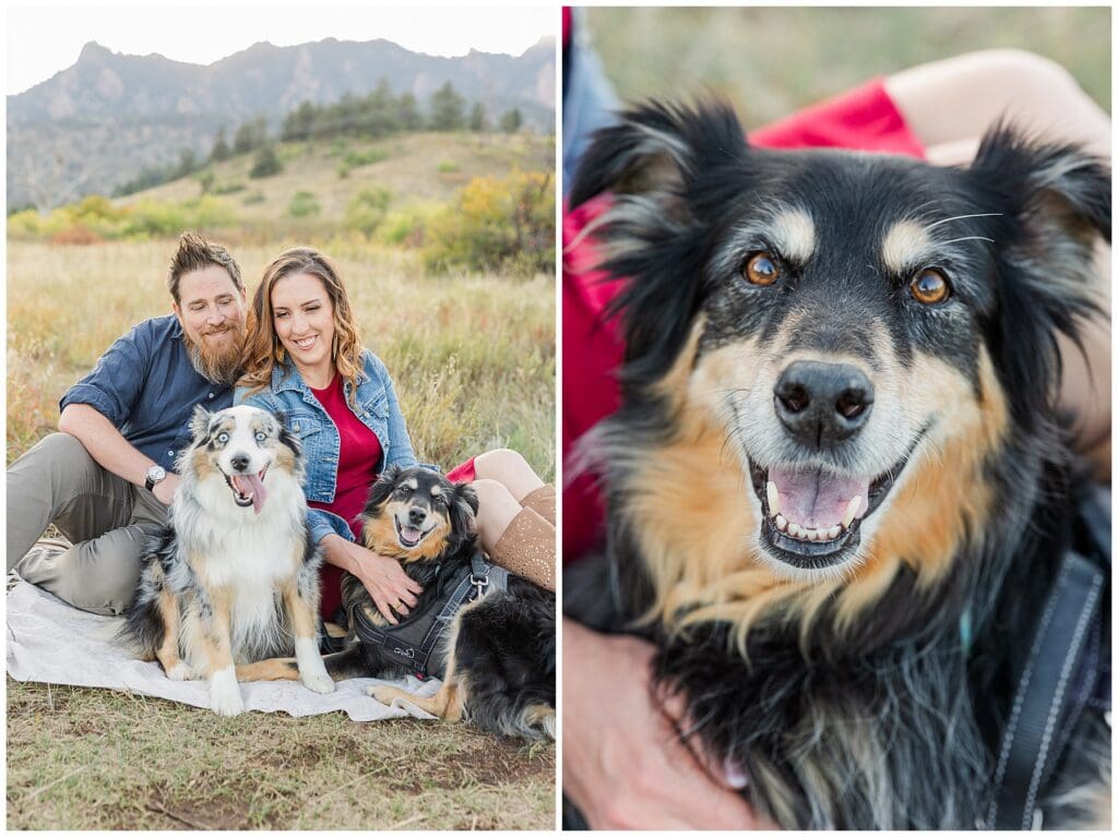 Couple with two dogs in the foothills of Boulder, Colorado with light and airy family photographer of Catherine Chamberlain Photography